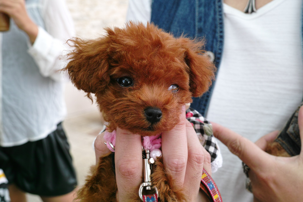 SAで,撮らせていただきました