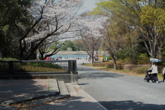 昭和記念公園　散策