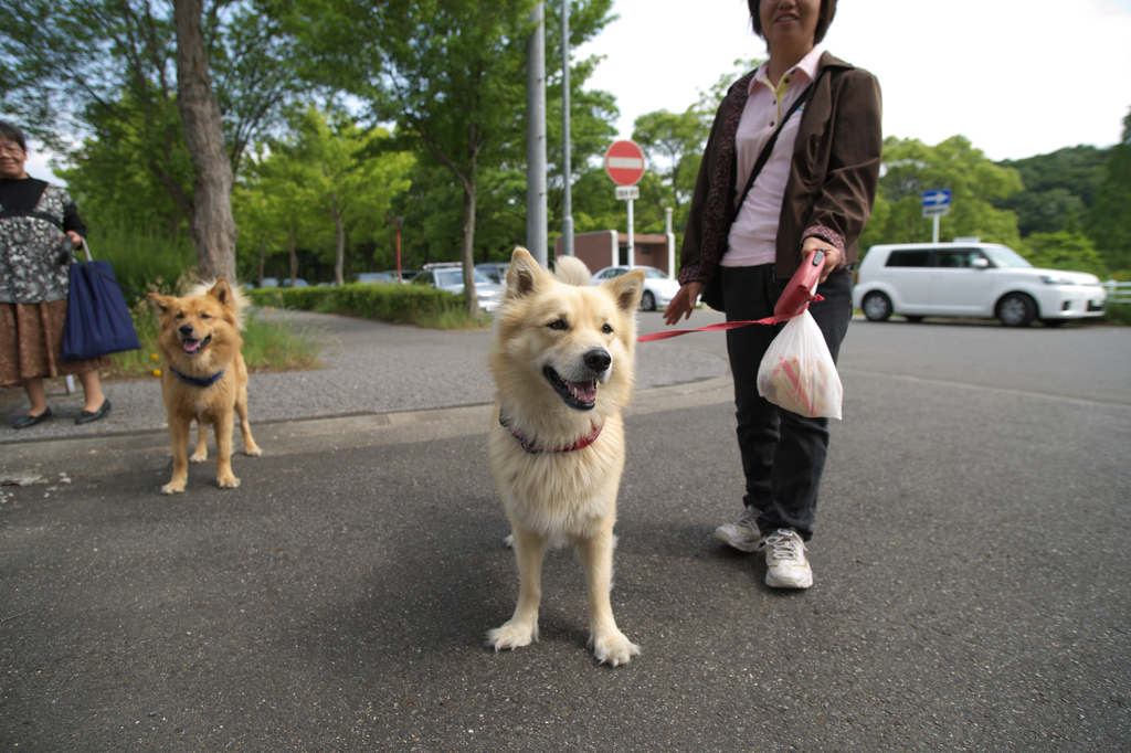 おい、旨く撮れよ