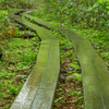 緑道
