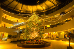 Yokohama Bay Quarter - Ring Ring Tree