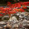川と紅葉