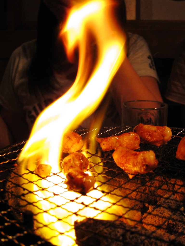 Fire Dragon