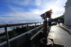 SUN SHINE