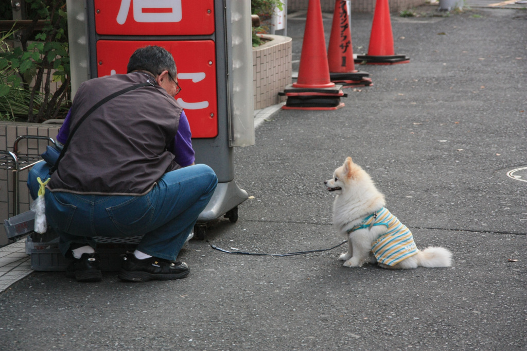 ご主人様〜！