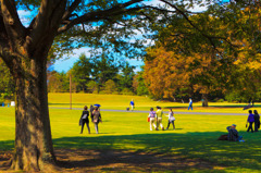 午後の公園