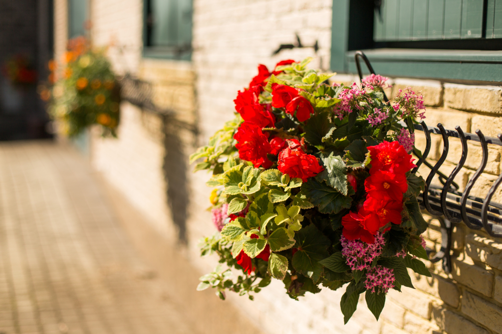 Window Flower Boxes