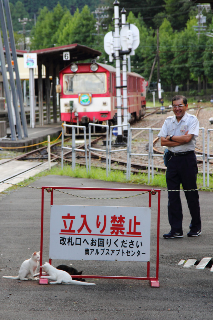 駅員さんと仔猫たち