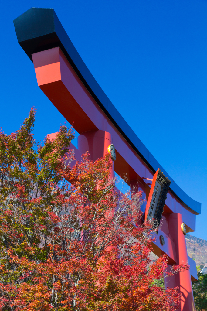 紅葉と鳥居