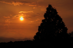 夕日