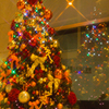 Tree and Tree