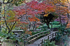 日本の風景