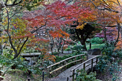 日本の風景