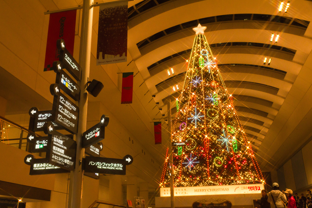 Queen's Square Singing Tree