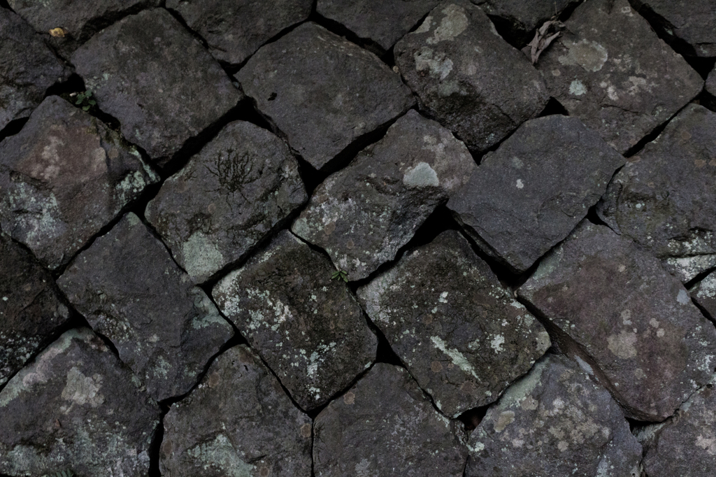 THE ROCK WALL