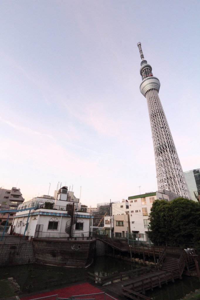 船風建物とスカイツリー