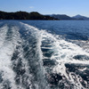 Cruising!!!