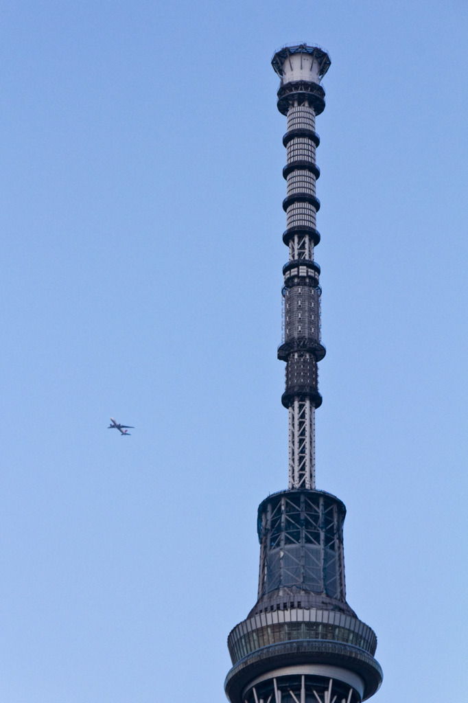 飛行機とスカイツリー