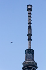 飛行機とスカイツリー