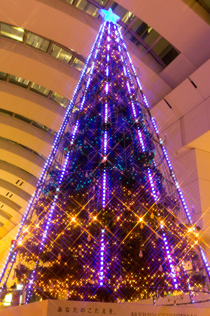Singing Tree Show Part1
