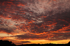 鱗雲と朝焼けのコラボレーション