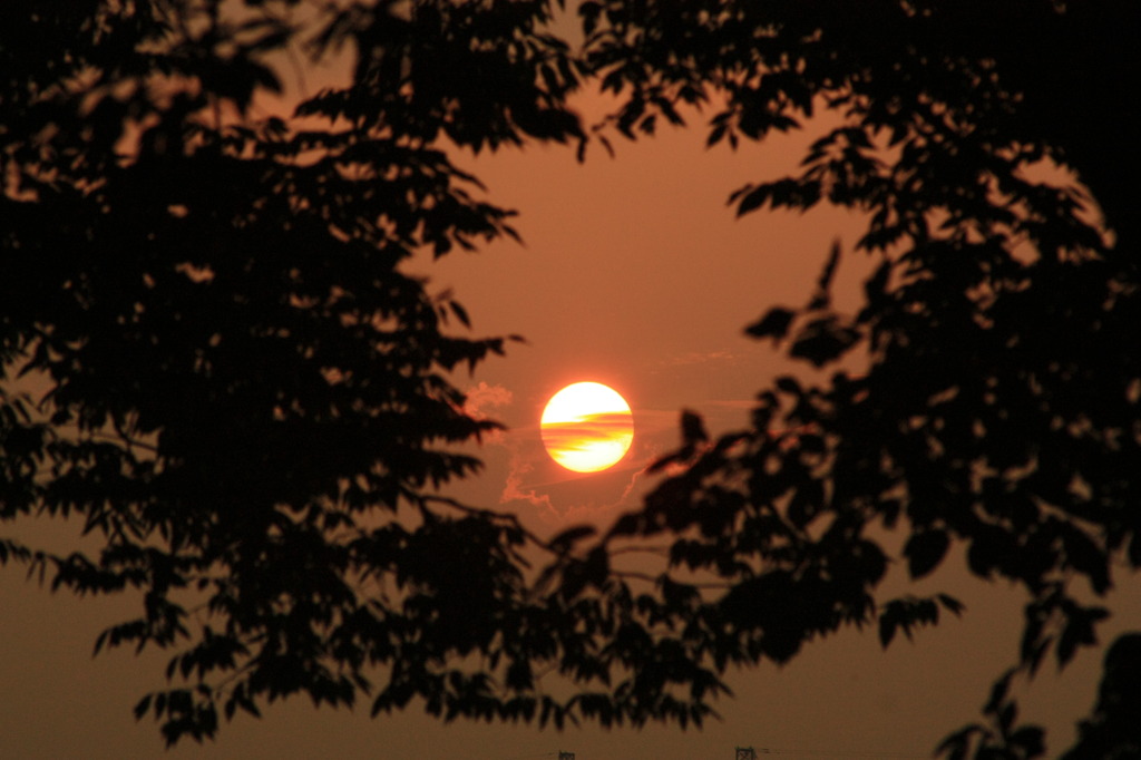 夕日