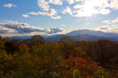 紅葉の木々と秋の空