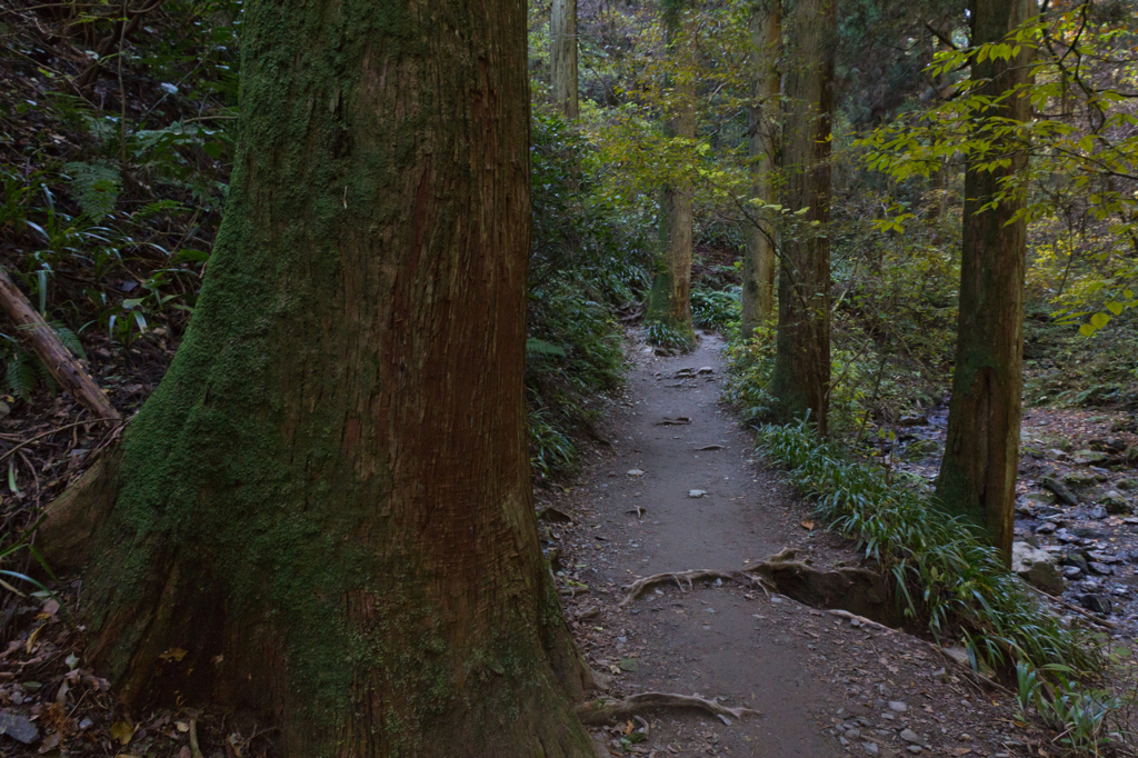 Trekking Road