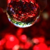 Red Sphere