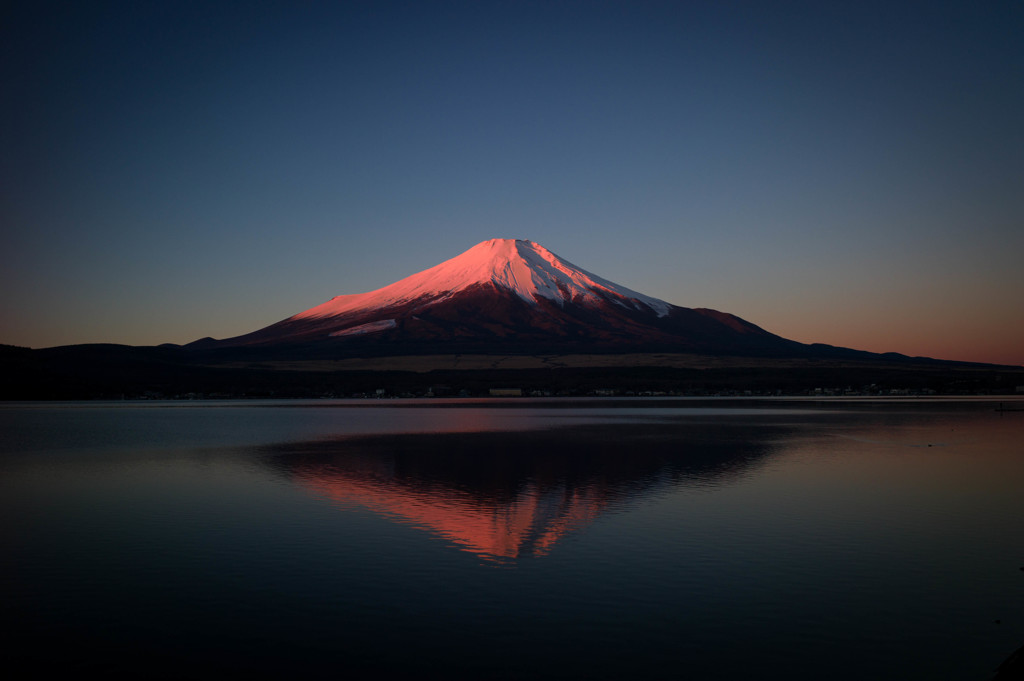紅