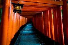1000 torii gates