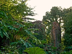 the ruins part2 at KOBE