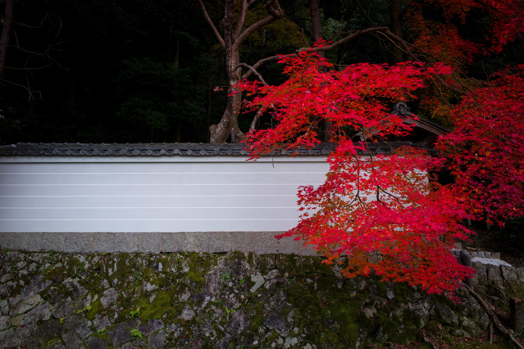 typical Japanese red from Kyoto