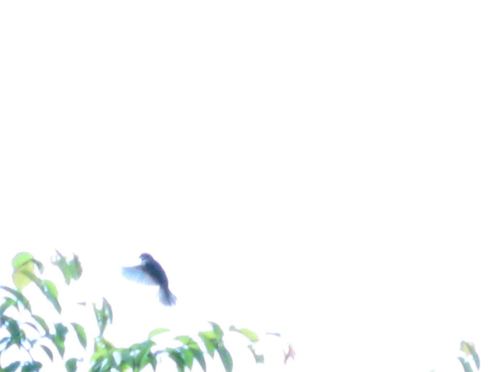 光の中へ