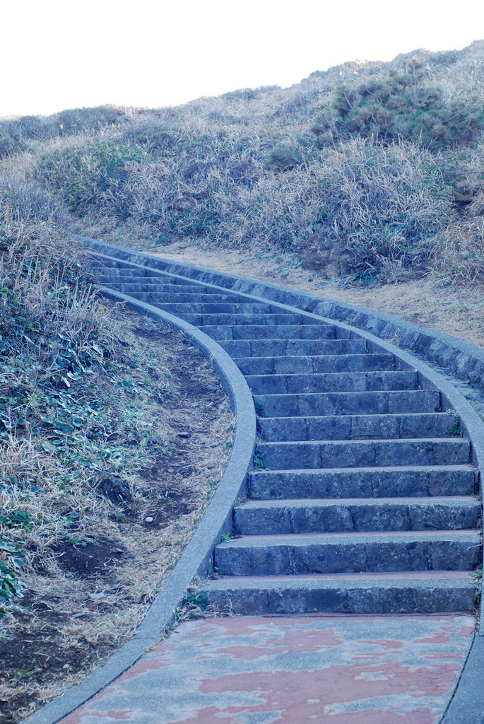 未来へ