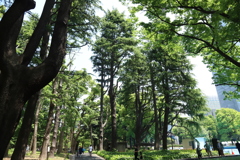 連休の日比谷公園