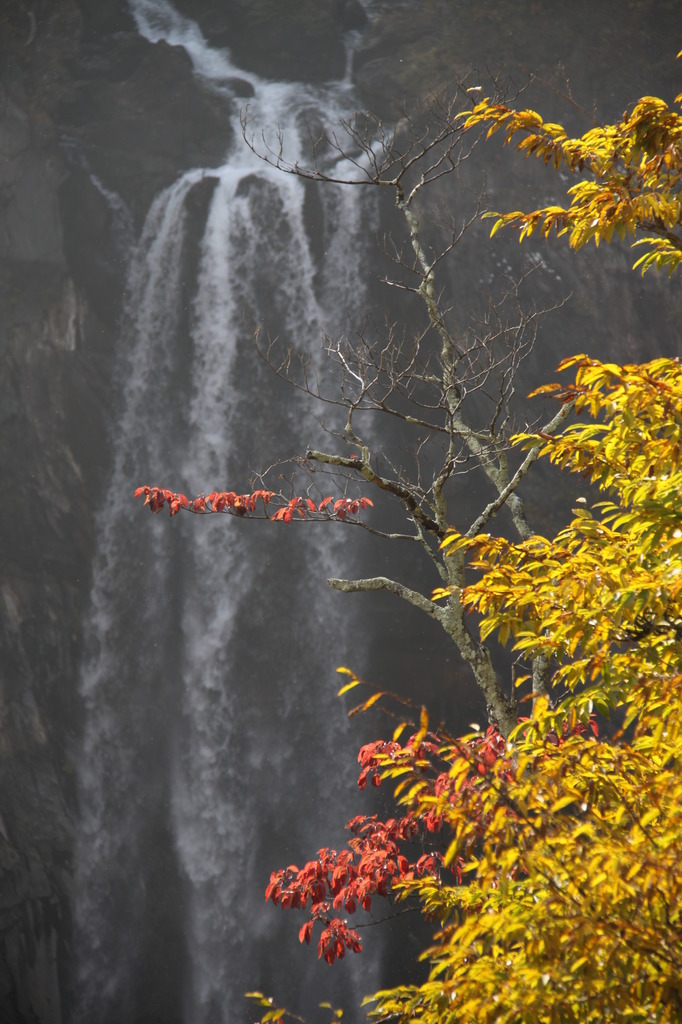 紅葉と華厳の滝
