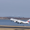 JAL JAPAN