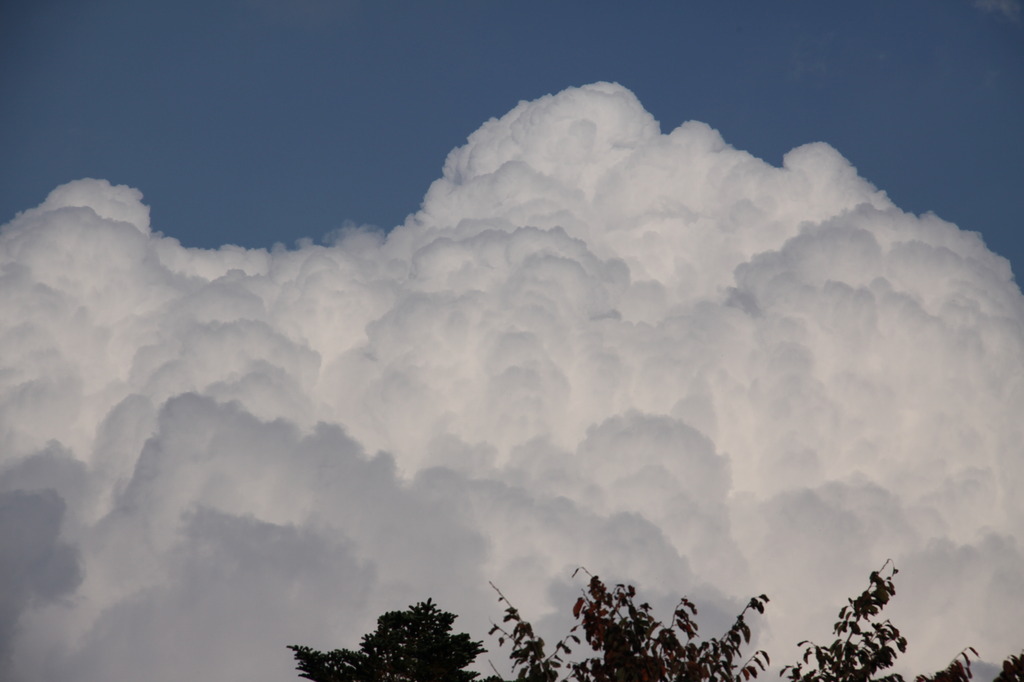 秋なのに入道雲？