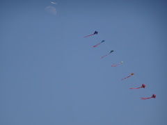 空に舞う