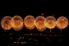 夜空に大輪の花