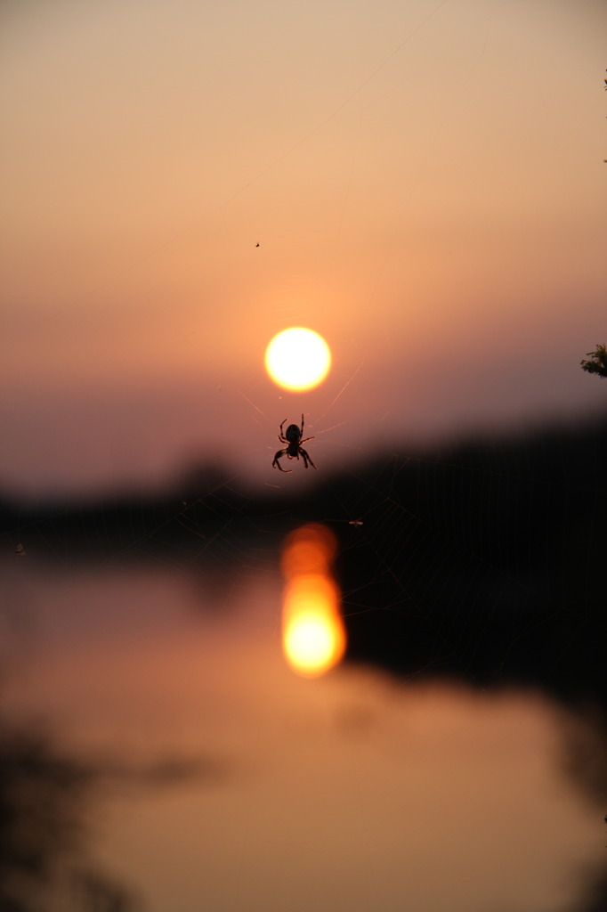 捕われた夕日、逃れた夕日、