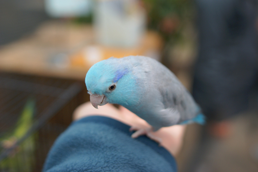 登ります