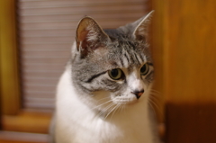IMGP0219