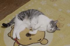 IMGP0098