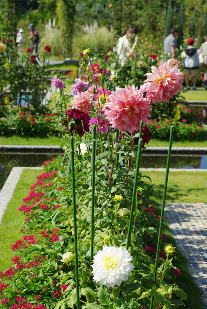 IMGP2356