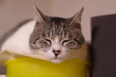 IMGP0209-1