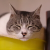 IMGP0209-1