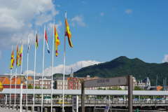 IMGP2332
