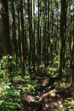 IMGP0046